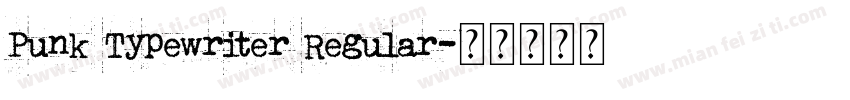 Punk Typewriter Regular字体转换